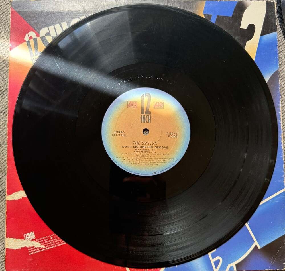 VG+/VG+: The System Don't Disturb This Groove 12 Inch Vinyl